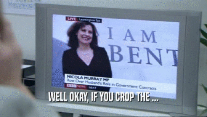 WELL OKAY, IF YOU CROP THE ...  