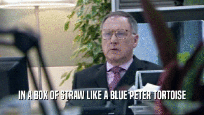 IN A BOX OF STRAW LIKE A BLUE PETER TORTOISE
  
