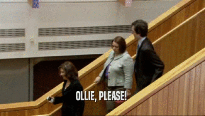 OLLIE, PLEASE! 
  