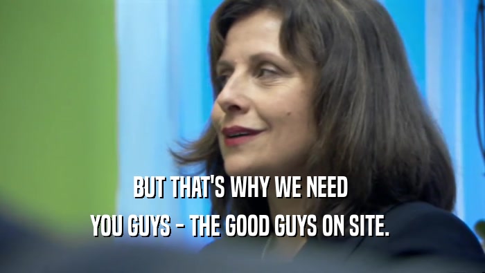 BUT THAT'S WHY WE NEED  YOU GUYS - THE GOOD GUYS ON SITE.  