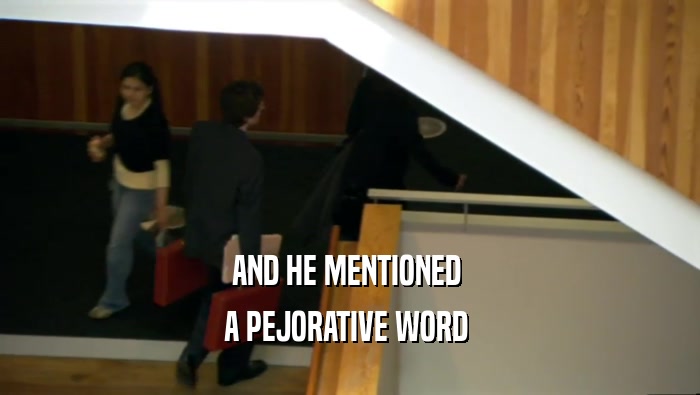 AND HE MENTIONED  A PEJORATIVE WORD  