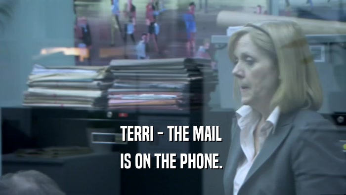 TERRI - THE MAIL 
 IS ON THE PHONE. 
 