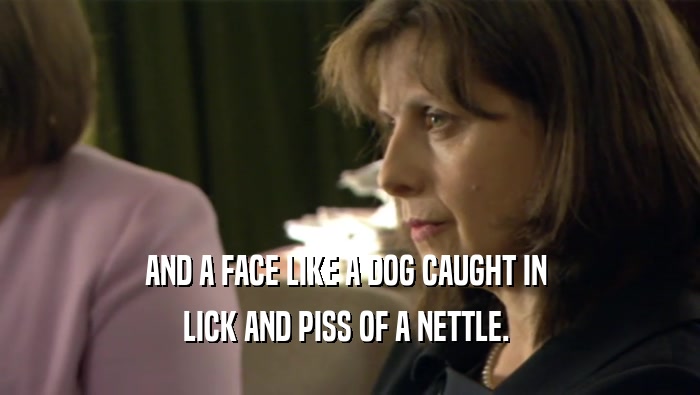 AND A FACE LIKE A DOG CAUGHT IN  LICK AND PISS OF A NETTLE.  