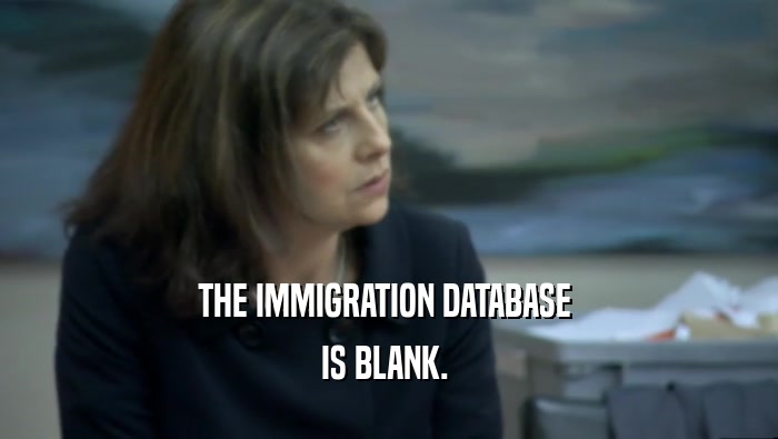 THE IMMIGRATION DATABASE  IS BLANK.  