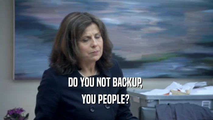 DO YOU NOT BACKUP,  YOU PEOPLE?  