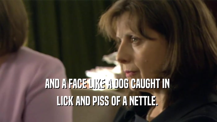 AND A FACE LIKE A DOG CAUGHT IN  LICK AND PISS OF A NETTLE.  