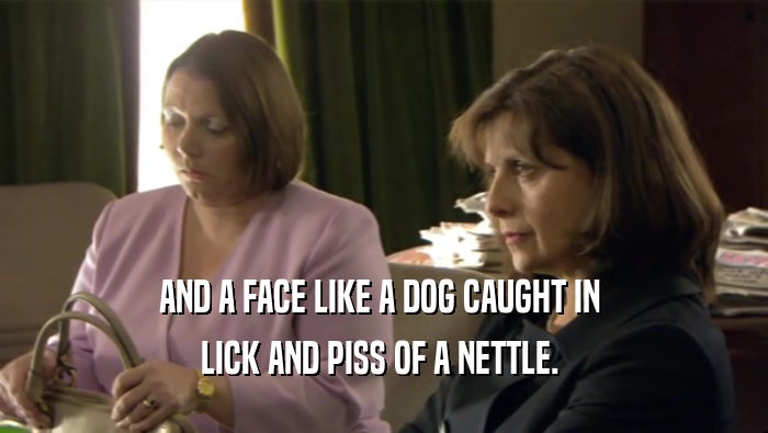 AND A FACE LIKE A DOG CAUGHT IN  LICK AND PISS OF A NETTLE.  