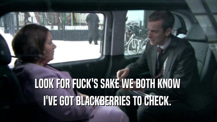 LOOK FOR FUCK'S SAKE WE BOTH KNOW  I'VE GOT BLACKBERRIES TO CHECK.  