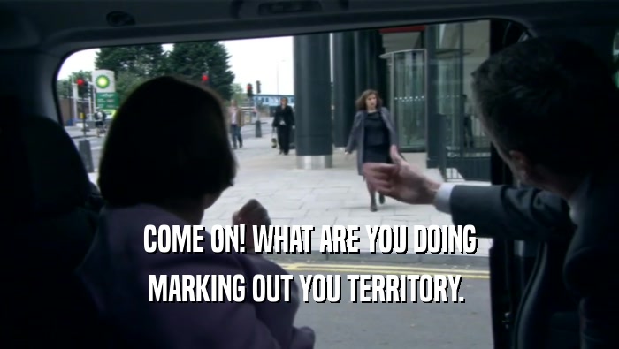 COME ON! WHAT ARE YOU DOING MARKING OUT YOU TERRITORY.  