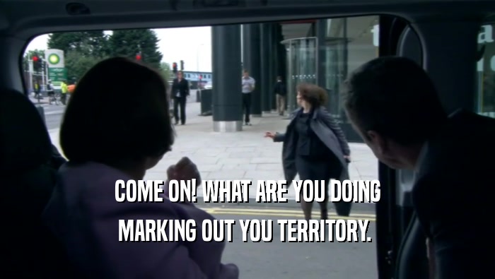 COME ON! WHAT ARE YOU DOING MARKING OUT YOU TERRITORY.  