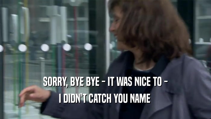 SORRY, BYE BYE - IT WAS NICE TO - I DIDN'T CATCH YOU NAME  
