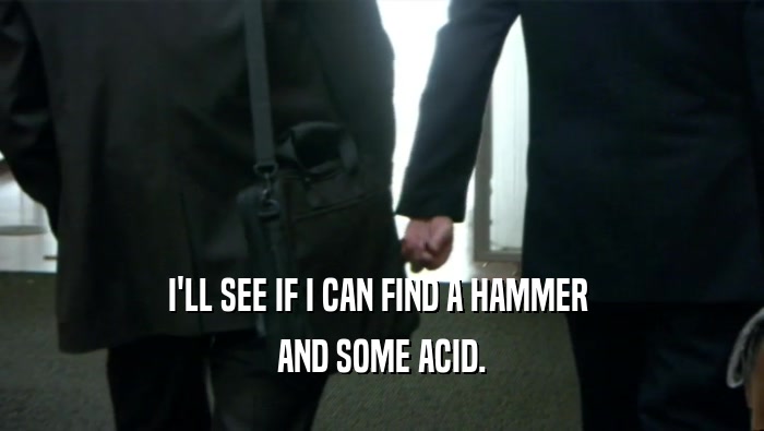 I'LL SEE IF I CAN FIND A HAMMER  AND SOME ACID. 
