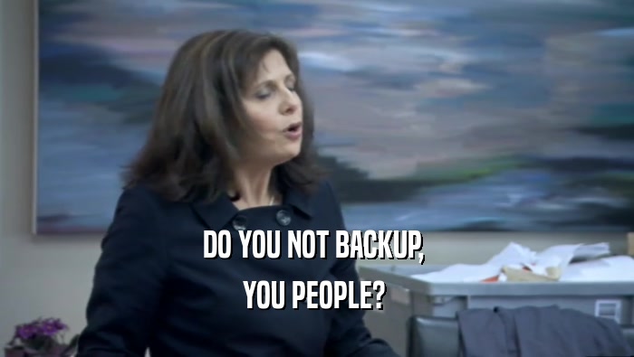 DO YOU NOT BACKUP,  YOU PEOPLE?  