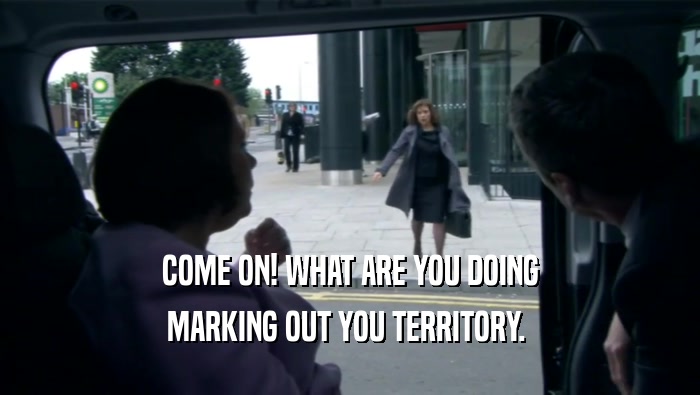 COME ON! WHAT ARE YOU DOING MARKING OUT YOU TERRITORY.  