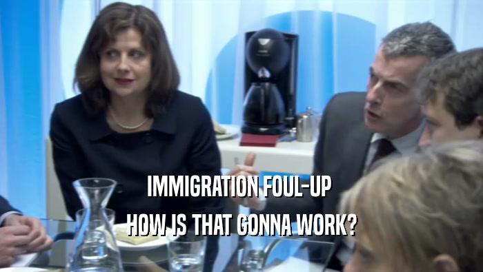 IMMIGRATION FOUL-UP  HOW IS THAT GONNA WORK? 