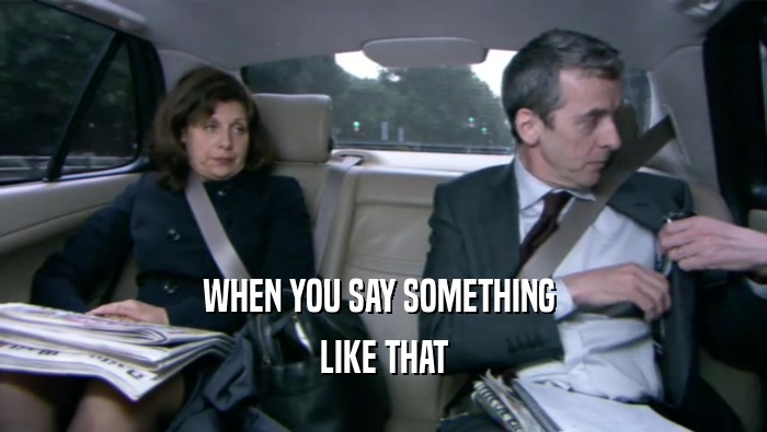 WHEN YOU SAY SOMETHING  LIKE THAT 