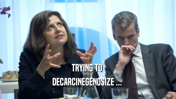 TRYING TO  DECARCINEGENOSIZE ...  