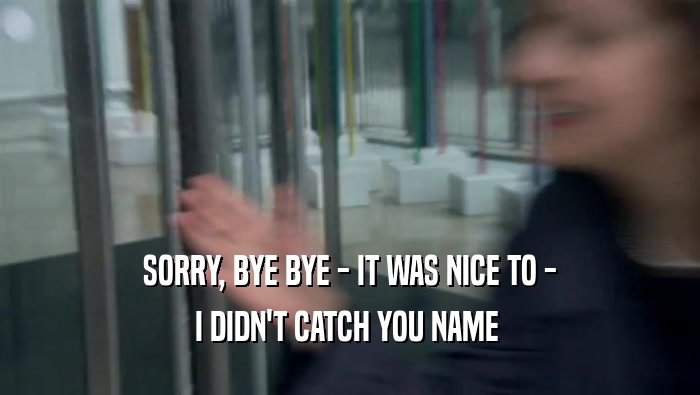 SORRY, BYE BYE - IT WAS NICE TO - I DIDN'T CATCH YOU NAME  
