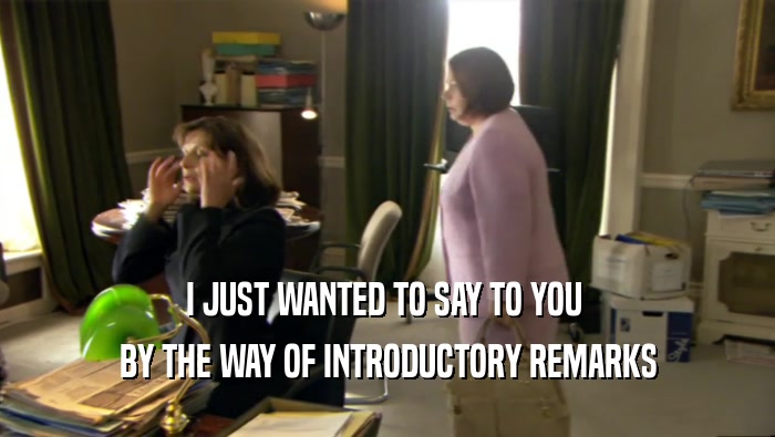 I JUST WANTED TO SAY TO YOU  BY THE WAY OF INTRODUCTORY REMARKS 