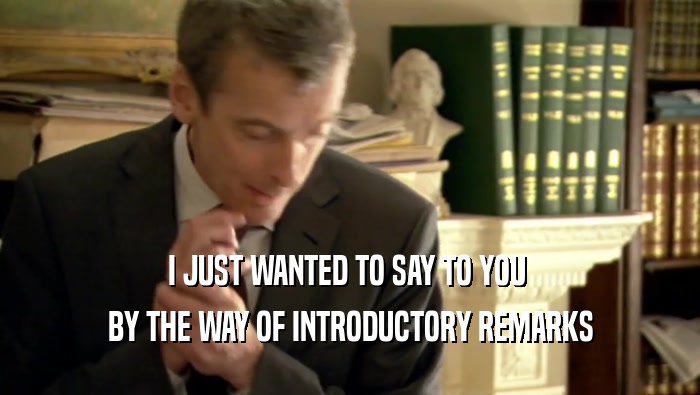 I JUST WANTED TO SAY TO YOU  BY THE WAY OF INTRODUCTORY REMARKS 
