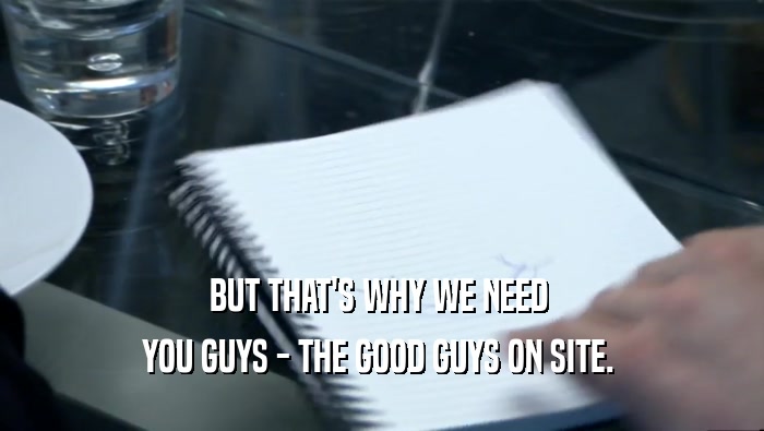 BUT THAT'S WHY WE NEED  YOU GUYS - THE GOOD GUYS ON SITE.  