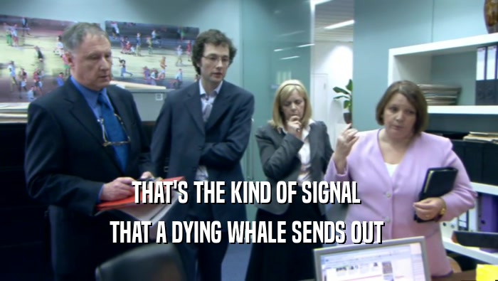 THAT'S THE KIND OF SIGNAL  THAT A DYING WHALE SENDS OUT  