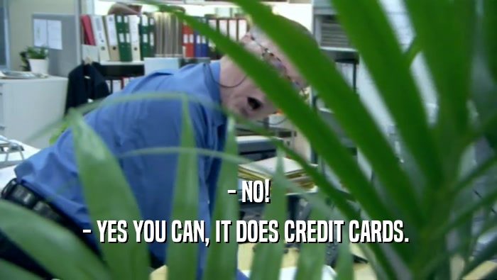 - NO! - YES YOU CAN, IT DOES CREDIT CARDS.  