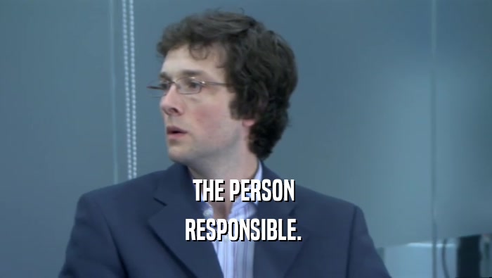 THE PERSON  RESPONSIBLE.  