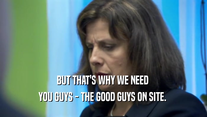 BUT THAT'S WHY WE NEED  YOU GUYS - THE GOOD GUYS ON SITE.  