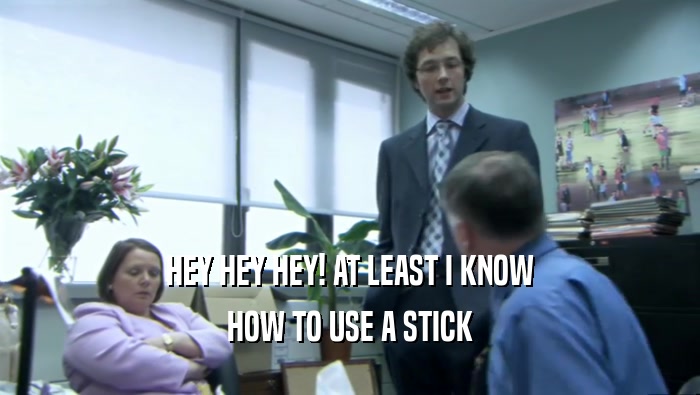 HEY HEY HEY! AT LEAST I KNOW HOW TO USE A STICK 