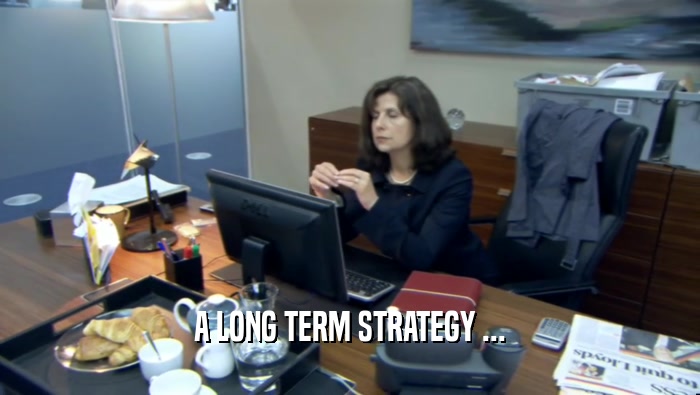 A LONG TERM STRATEGY ...  