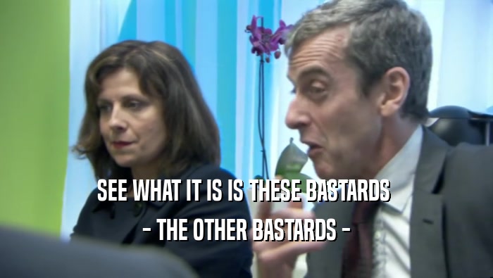 SEE WHAT IT IS IS THESE BASTARDS  - THE OTHER BASTARDS - 