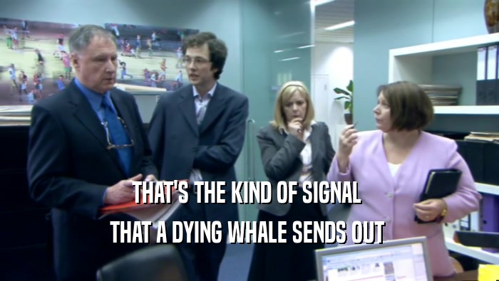 THAT'S THE KIND OF SIGNAL  THAT A DYING WHALE SENDS OUT  