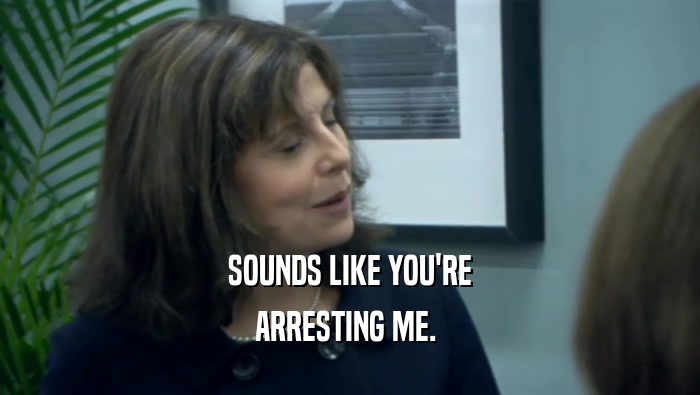 SOUNDS LIKE YOU'RE ARRESTING ME.  