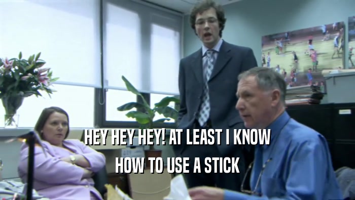 HEY HEY HEY! AT LEAST I KNOW HOW TO USE A STICK 