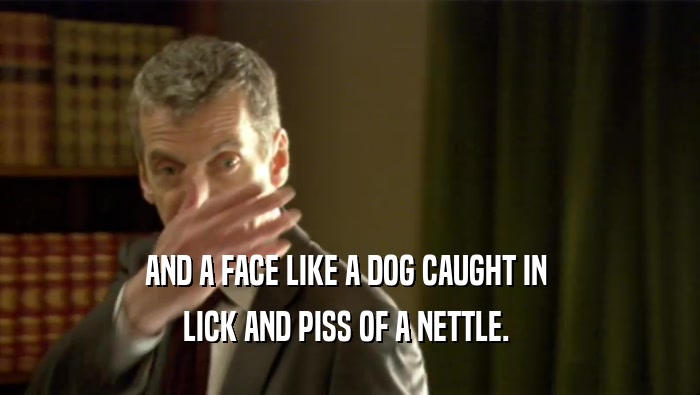 AND A FACE LIKE A DOG CAUGHT IN  LICK AND PISS OF A NETTLE.  