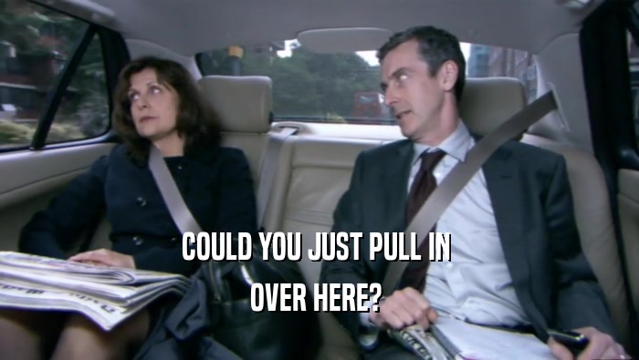COULD YOU JUST PULL IN  OVER HERE?  