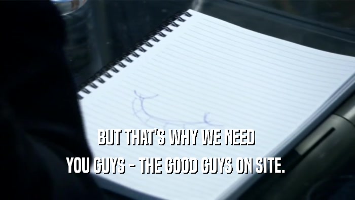 BUT THAT'S WHY WE NEED  YOU GUYS - THE GOOD GUYS ON SITE.  