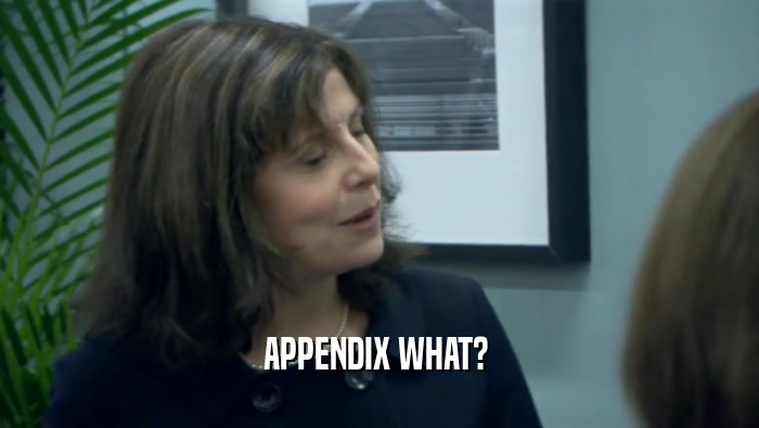 APPENDIX WHAT?   