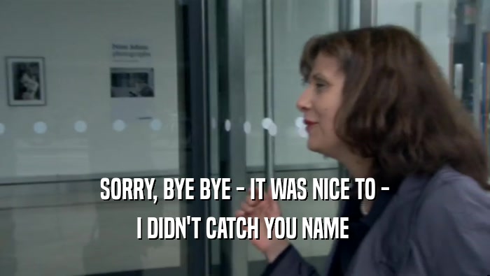 SORRY, BYE BYE - IT WAS NICE TO - I DIDN'T CATCH YOU NAME  