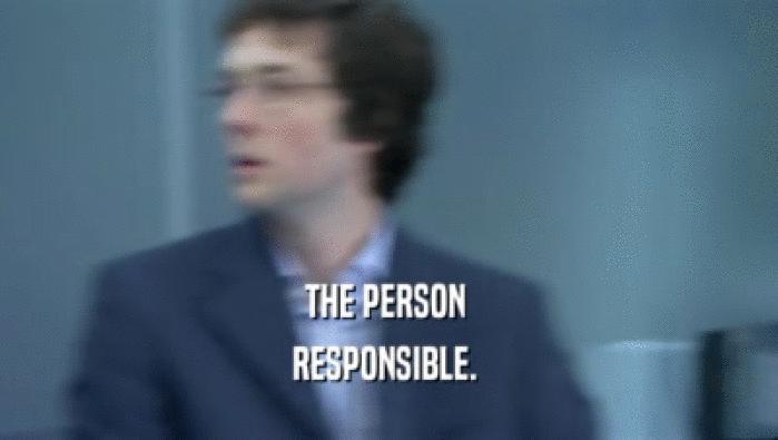 THE PERSON  RESPONSIBLE.  