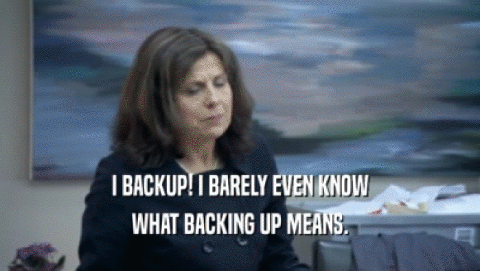I BACKUP! I BARELY EVEN KNOW WHAT BACKING UP MEANS. 