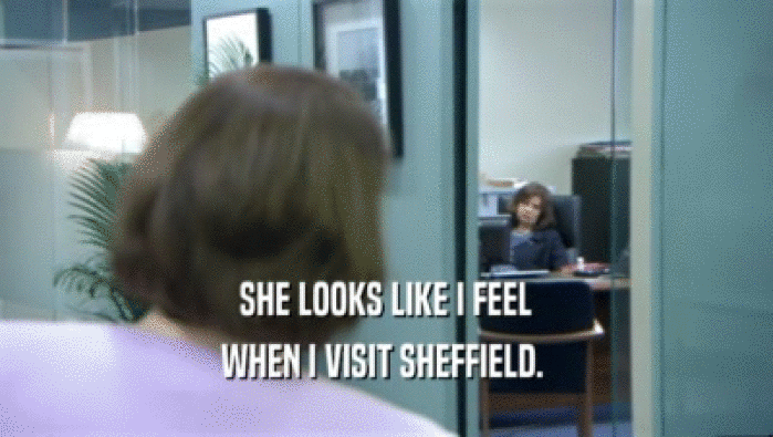 SHE LOOKS LIKE I FEEL WHEN I VISIT SHEFFIELD.  