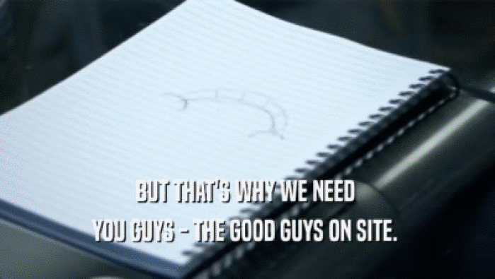 BUT THAT'S WHY WE NEED  YOU GUYS - THE GOOD GUYS ON SITE.  