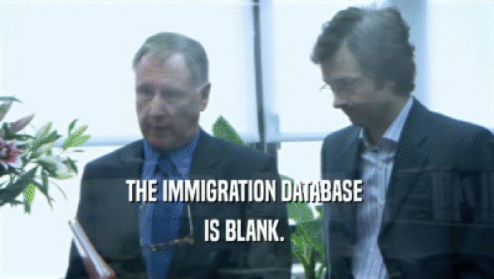 THE IMMIGRATION DATABASE  IS BLANK.  