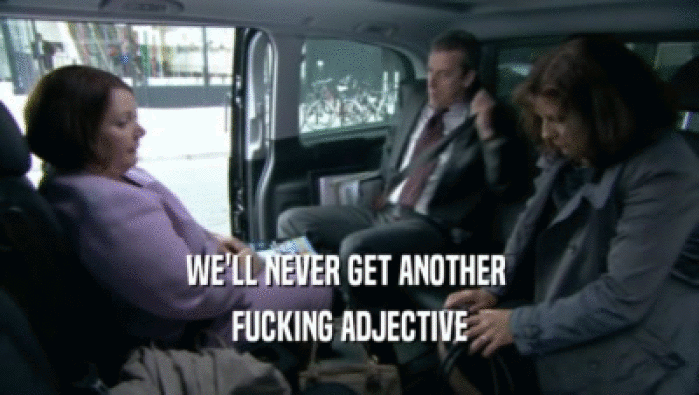 WE'LL NEVER GET ANOTHER  FUCKING ADJECTIVE 