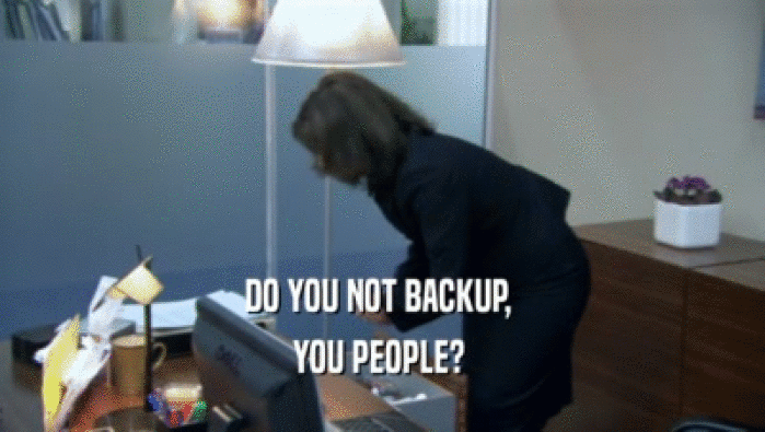 DO YOU NOT BACKUP,  YOU PEOPLE?  