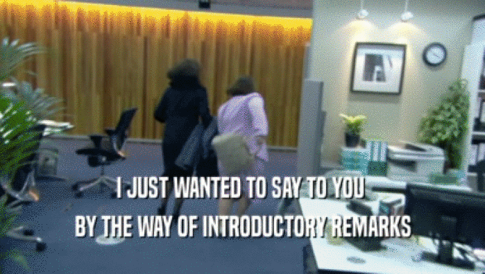 I JUST WANTED TO SAY TO YOU  BY THE WAY OF INTRODUCTORY REMARKS 