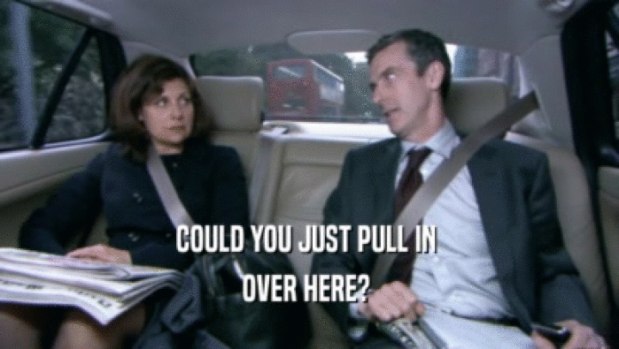 COULD YOU JUST PULL IN  OVER HERE?  