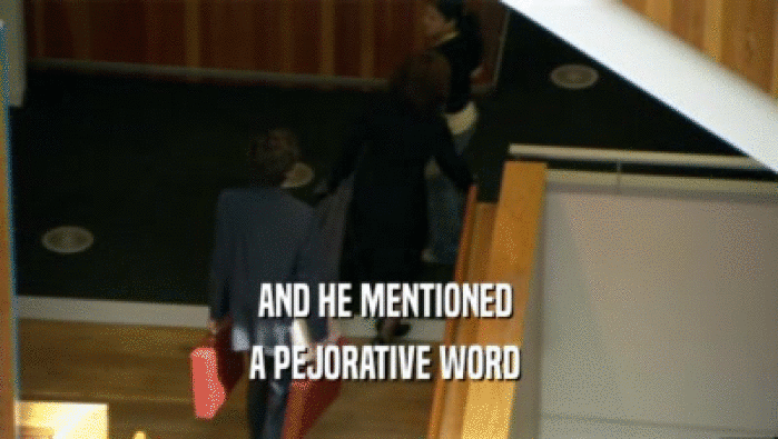 AND HE MENTIONED  A PEJORATIVE WORD  
